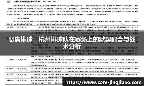 聚焦排球：杭州排球队在赛场上的默契配合与战术分析